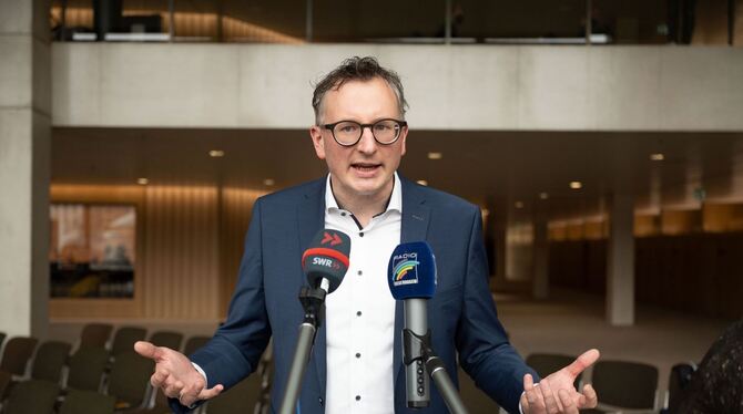 Grünen-Fraktionschef Schwarz