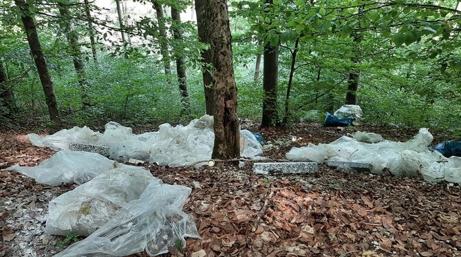 Das hat ein Uracher Bürger im Wald zwischen dem Michels-käppele und der  Zittelstatt vorgefunden. Er meldete es dem Bauhof, zwei