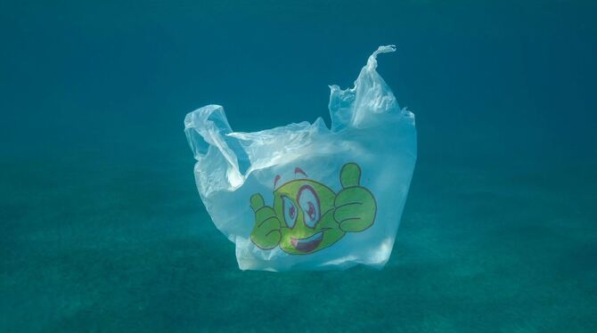 Plastikmüll im Meer
