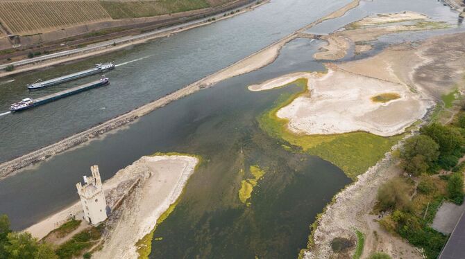 Niedrigwasser im Rhein Niedrigwasser im Rhein