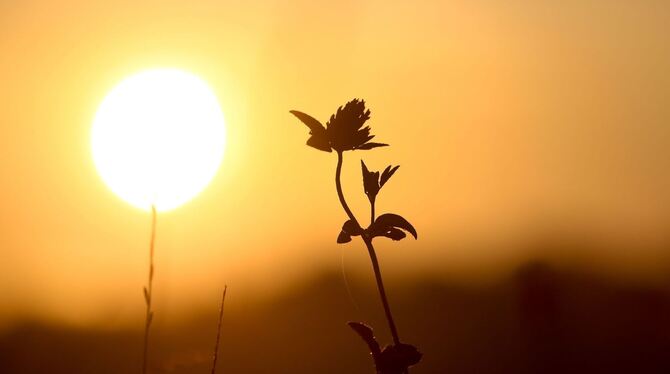 Sonne in Baden-Württemberg