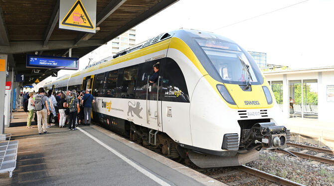 Wegen Überfüllung geschlossen: In diesem Zug mit Ziel Heilbronn konnten am Dienstagvormittag nicht alle Wartenden Platz finden.