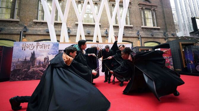 Harry Potter Harry Potter