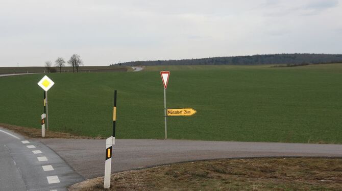 Auf diesem Areal nördlich der Gemeindeverbindungsstraße nach Münzdorf wird die Einrichtung eines Windparks untersucht. FOTO: THU