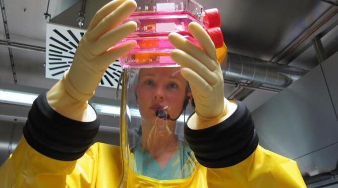Eine Forscherin arbeitet im Labor des Instituts für Virologie der Universität Marburg. Foto: Thomas Strecker/Universität Marb
