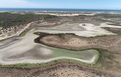 Feuchtgebiet Coto de Doñana ausgetrocknet