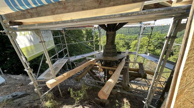 Sanierungen an der Falkenkopfhütte: Um die tragende Holzkonstruktion zu erneuern, musste die komplette Plattform abgebaut werden
