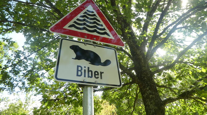 »Achtung Biber!« warnen die neuen Schilder. FOTO: SCHNIEPP