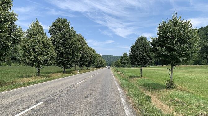 Radweg zwischen Lustnau und Bebenhausen wird deutlich breiter.