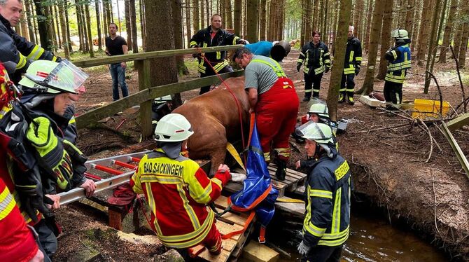 Tierrettung im Wald