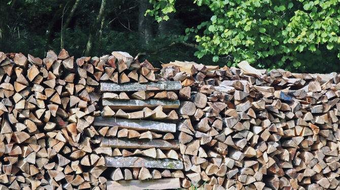 Brennholz ist heiß begehrt und wird deutlich teurer. Auch in Trochtelfingen steigt der Preis.  FOTO: BLOCHING