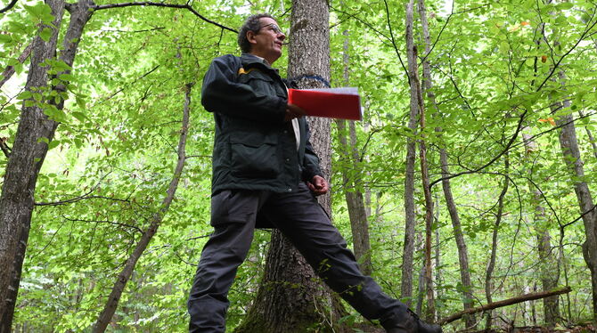 Eine Aufgabe für Generationen: Der Reutlinger Revierförster Georg Baumbusch vor Bäumen, die älter sind als er. FOTOS: ZENKE