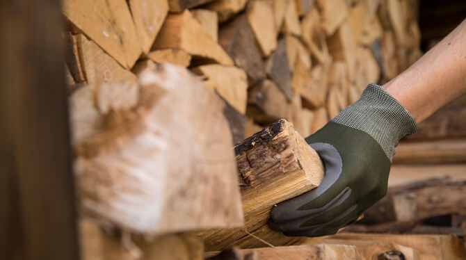 Gefragt wie nie zuvor: das gute alte Brennholz.  FOTO: KLOSE/DPA
