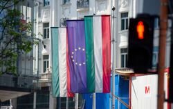 Ungarn-und EU-Flaggen