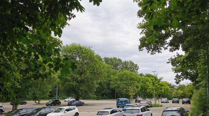 Der Bosch-Parkplatz Im Gries (westlich der Bantlinstraße/B 28) auf Betzinger Markung soll Grünfläche werden und künftig auch dem