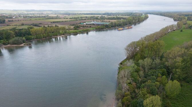 Rheinpegel wieder gestiegen Rheinpegel wieder gestiegen