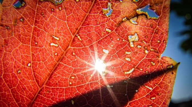 Vor dem kalendarischen Herbstanfang