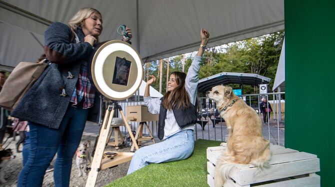 Party und Verleihung der »German Petfluencer Awards« Party und Verleihung der »German Petfluencer Awards«