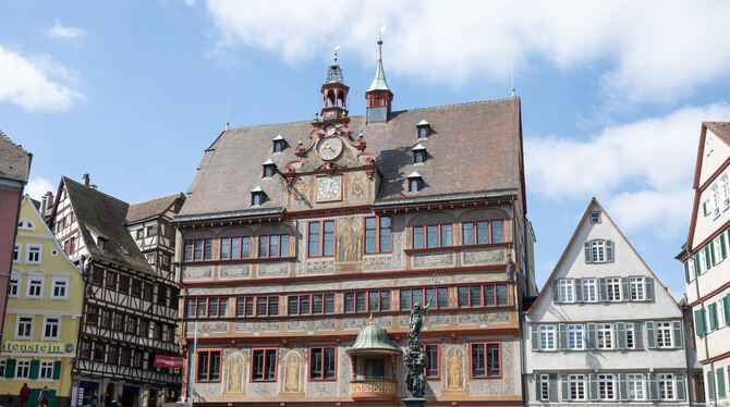 Hinter den Fassaden: Zoff im Tübinger Rathaus über die Besetzung einer Stelle im Vorzimmer des Oberbürgermeisters.  FOTO: DPA
