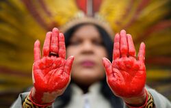 Brasilien Indigener Protest