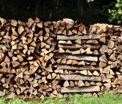 Heizen mit Holz ist beliebt.  FOTO: BLOCHING