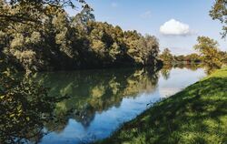 Rhein soll natürlicher und stabiler werden
