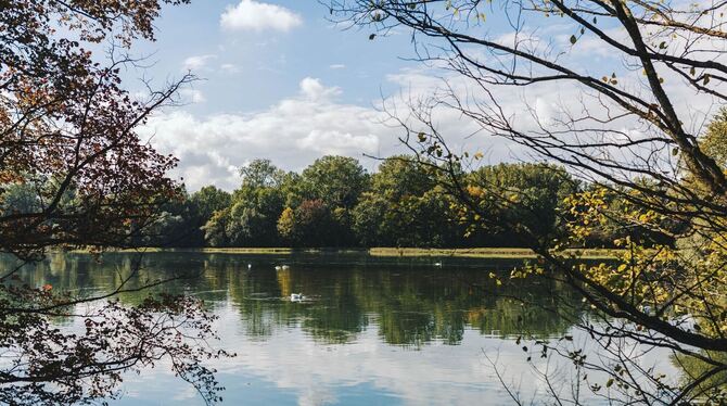 Rhein soll natürlicher und stabiler werden
