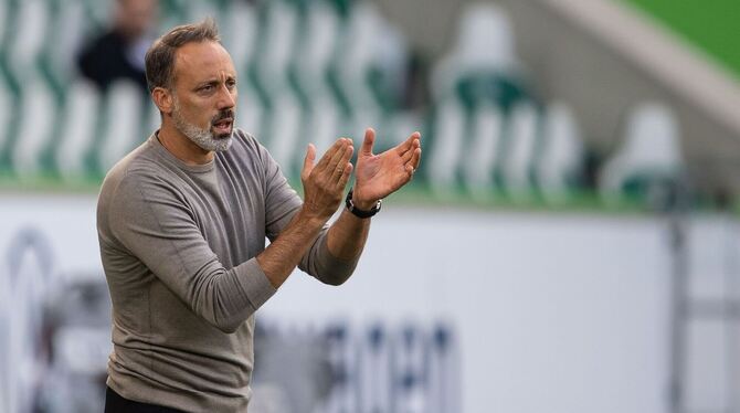 Pellegrino Matarazzo