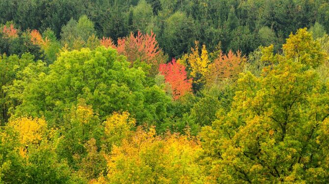 Herbst in Niedersachsen