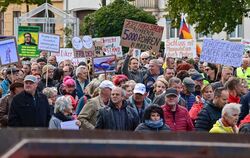 Demonstration in Frankfurt (Oder)