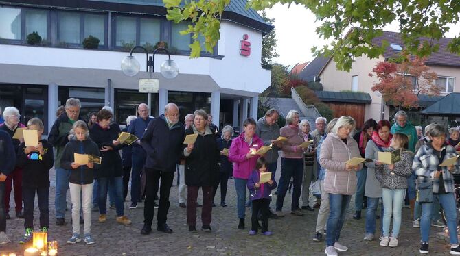 Gemeinschaftserlebnis: Singaktion in Pliezhausen für den Frieden.  FOTO: SANDER