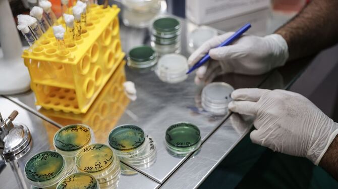 Ausbruch der Cholera