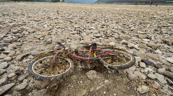 Niedrigwasser am Rhein