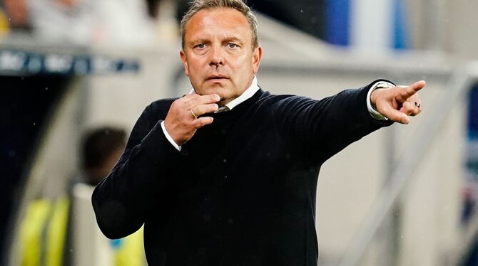 Trainer André Breitenreiter Trainer André Breitenreiter