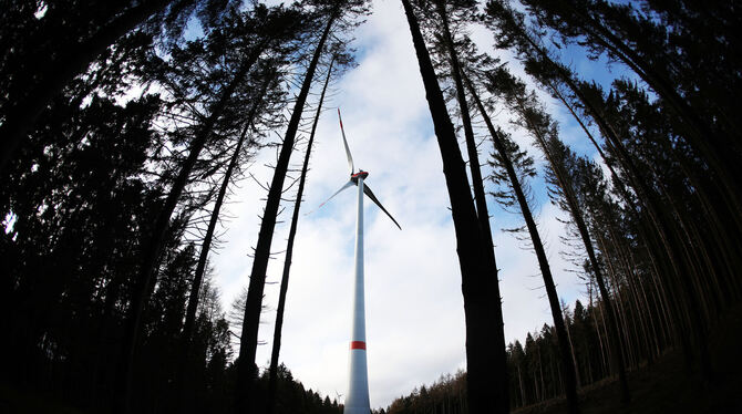 Ein Verein aus Rheinland-Pfalz klagt gegen die Genehmigung für den Windpark Hohfleck.  SYMBOLFOTO: OLIVER BERG/DPA
