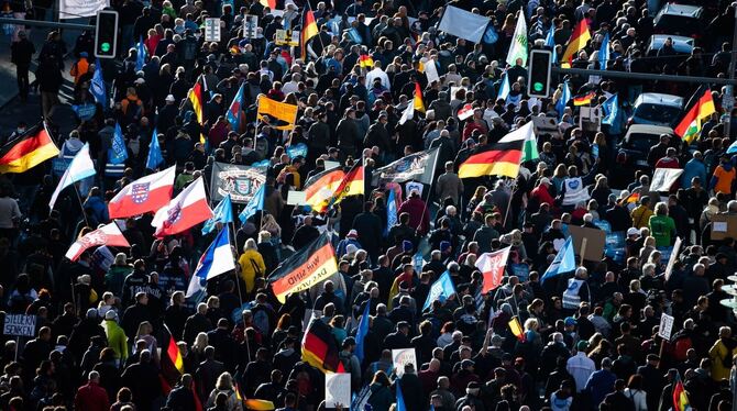 AfD-Demonstration in Berlin