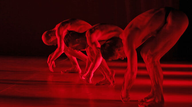 Momentaufnahme aus »Aurora's Redlines. Ein Tanzstück für die Alarmgesellschaft«, das Tanzwerke Vanek Preuß aus Bonn im Reutlinge