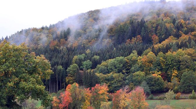 Herbstlicher Spessart