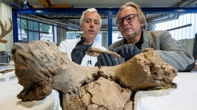 Forschung zu Schamanin aus Bad Dürrenberg