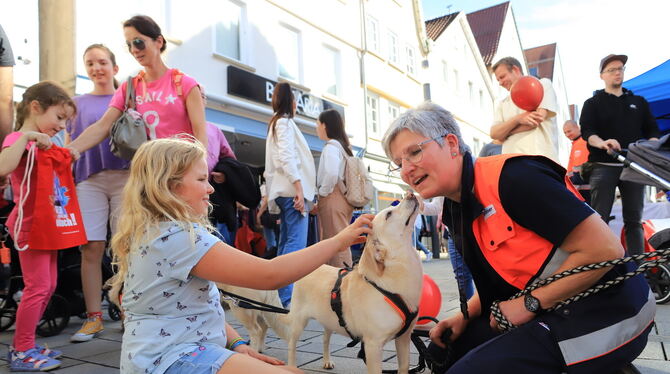 Ein bissle Kraulen, ein bissle Kuscheln: bei der Malteser Hundestaffel an der Nikolaikirche konnten die Helfer hautnah die Tiere