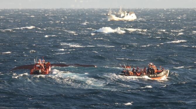 Suchmaßnahmen in Südkorea