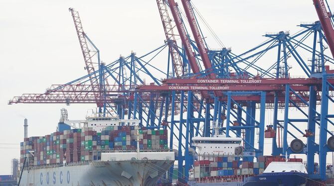 Terminal Tollerort im Hamburger Hafen