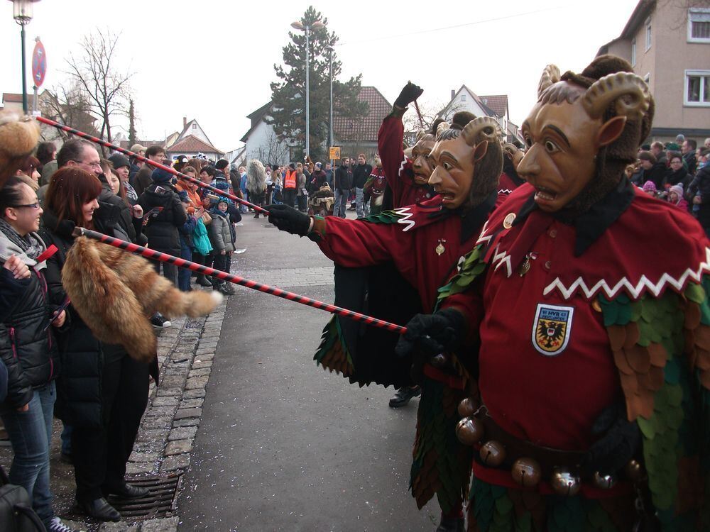 Narrenumzug Wilde Weiber Wannweil 2015