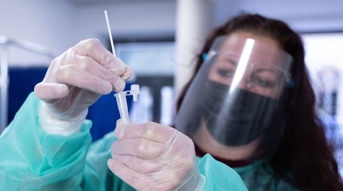 Coronavirus Coronavirus