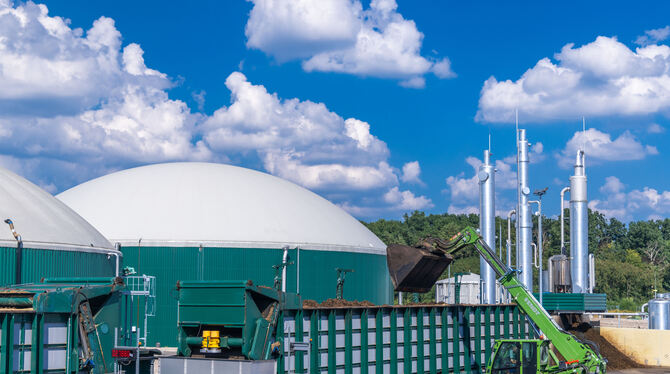 Biomasse wird in eine Biogas-Anlage gekippt. Übergewinne könnten bald abgeschöpft werden, befürchten Betreiber.  FOTO: BÜTTNER/D