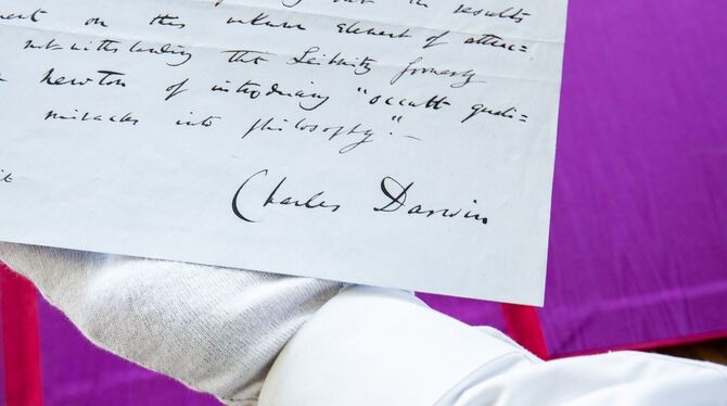Seltene Niederschrift Charles Darwins wird versteigert Seltene Niederschrift Charles Darwins wird versteigert