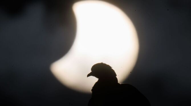 Partielle Sonnenfinsternis