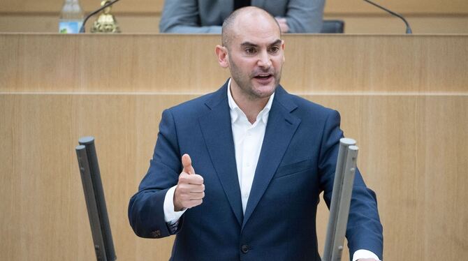 Danyal Bayaz (Bündnis 90/Die Grünen)