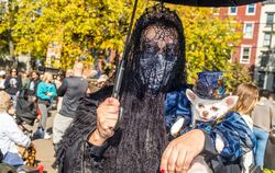 In den USA verkleiden sich nicht nur Menschen zu Halloween. FOTO: HESS/DPA