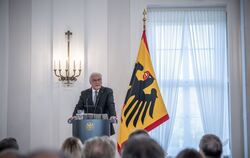 Rede Bundespräsident Steinmeier